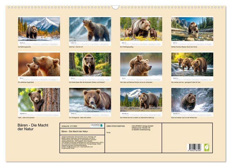 Produktbild: B&auml;ren - Die Macht der Natur (Wandkalender 2026 DIN A2 quer), CALVENDO Monatskalender