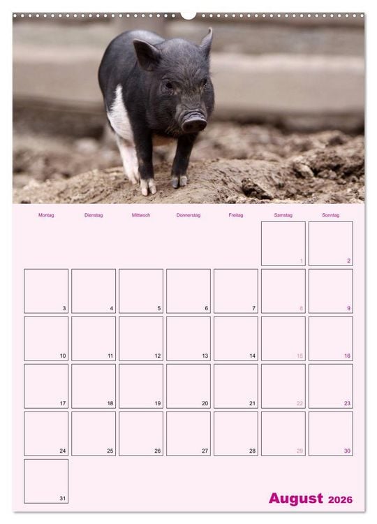 Produktbild: Schweinischer Terminplaner (Wandkalender 2026 DIN A2 hoch), CALVENDO Monatskalender