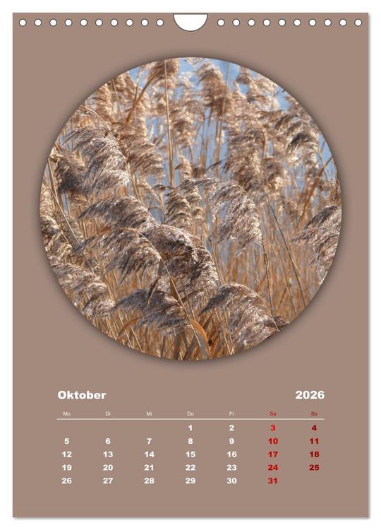 Produktbild: Rundherum Natur (Wandkalender 2026 DIN A4 hoch), CALVENDO Monatskalender