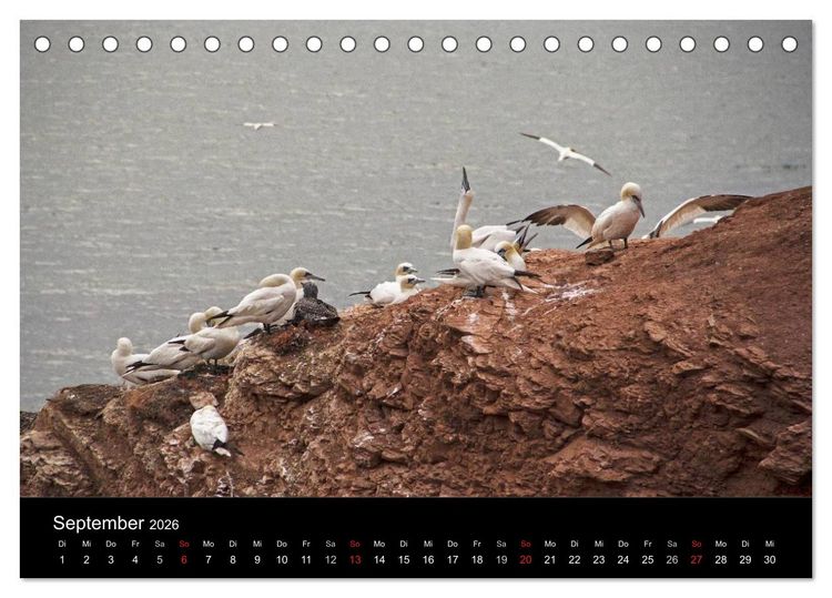 Produktbild: Helgoland - idyllische Nordseeinsel (Tischkalender 2026 DIN A5 quer), CALVENDO Monatskalender