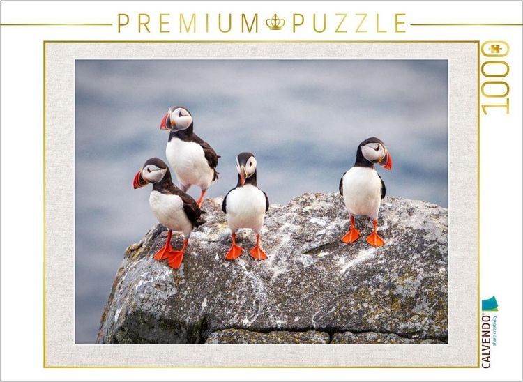Produktbild: CALVENDO Puzzle Papageientaucher in ihrer nat&uuml;rlichen Umgebung | 1000 Teile Lege-Gr&ouml;&szlig;e 64x48cm Foto-Puzzle f&uuml;r gl&uuml;ckliche Stunden