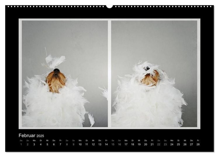 Produktbild: Elli Pirelli... aus dem Leben eines fr&ouml;hlichen Pinscher-Dackel-M&auml;dels (hochwertiger Premium Wandkalender 2025 DIN A2 quer), Kunstdruck in Hochglanz