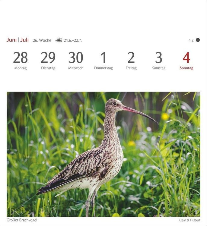 Produktbild: Heimische V&ouml;gel Postkartenkalender 2027 - Wochenkalender mit 53 Postkarten