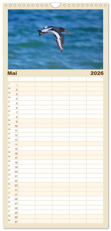 Produktbild: Familienplaner 2026 - An der Nordsee mit 5 Spalten (Wandkalender, 21 x 45 cm) CALVENDO