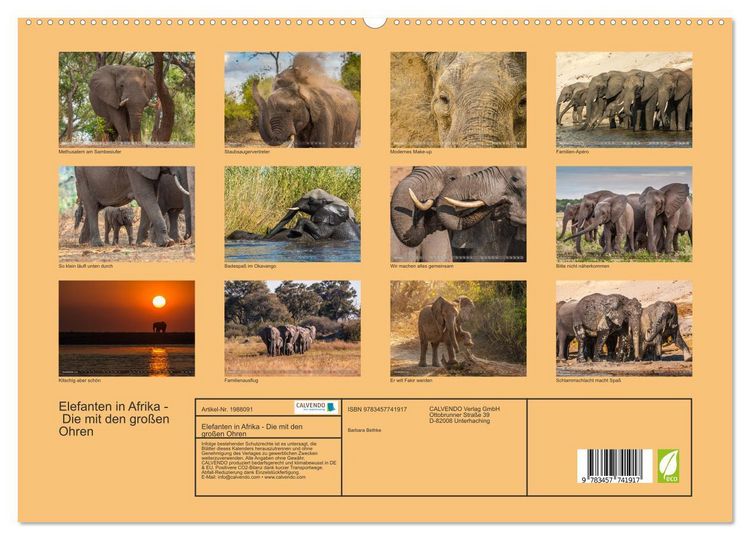 Produktbild: Elefanten in Afrika - Die mit den gro&szlig;en Ohren (hochwertiger Premium Wandkalender 2026 DIN A2 quer), Kunstdruck in Hochglanz