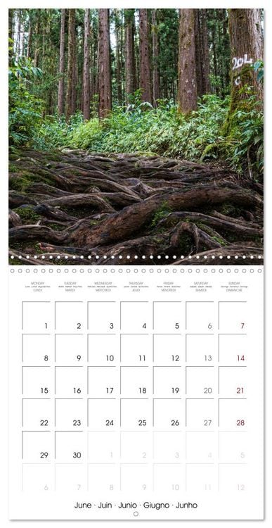 Produktbild: L'ile de la R&eacute;union, un volcan au milieu de l'oc&eacute;an Indien (Calendrier mural carr&eacute; 2026 30x30 cm) Calendrier double avec une page pour vos prises de notes