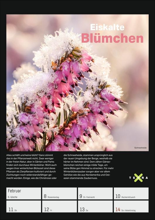 Produktbild: Terra X &ndash; Das Wunder Erde Wochenplaner 2027