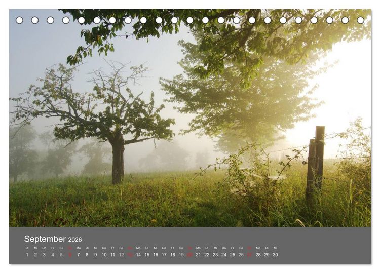 Produktbild: B&auml;ume (Tischkalender 2026 DIN A5 quer), CALVENDO Monatskalender
