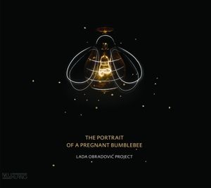 Produktbild: The Portrait Of A Pregnant Bumblebee