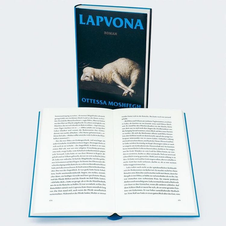 Produktbild: Lapvona