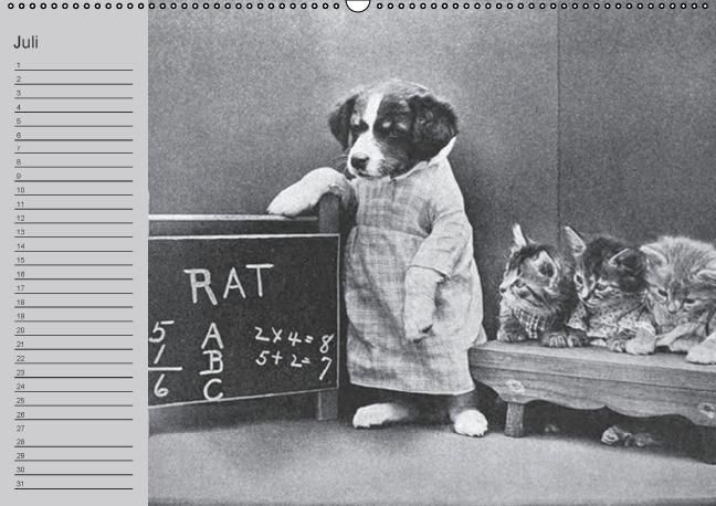 Produktbild: Katzen und Hunde - Nostalgie auf Pfoten (Wandkalender immerw&auml;hrend DIN A2 quer)