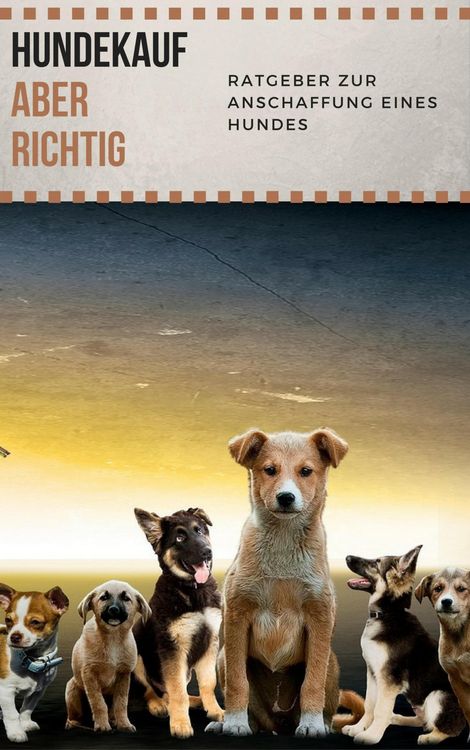 Produktbild: Hundekauf ABER RICHTIG - Ratgeber zur Anschaffung eines Hundes