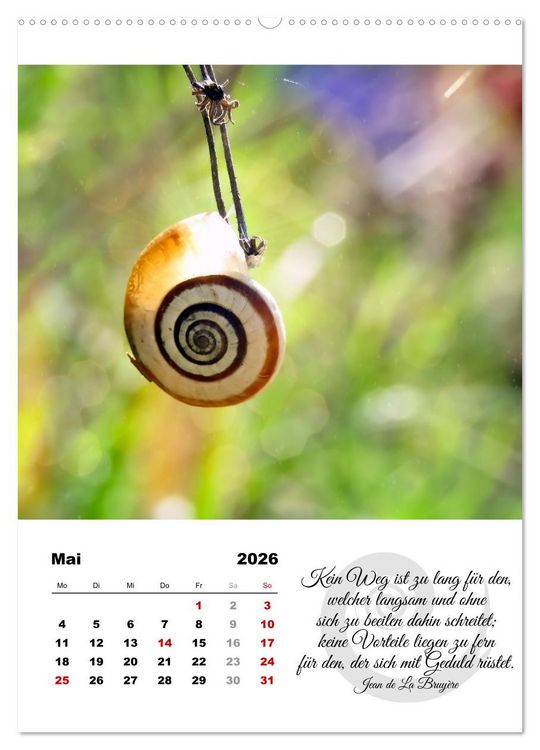 Produktbild: Schnecklein (Wandkalender 2026 DIN A2 hoch), CALVENDO Monatskalender