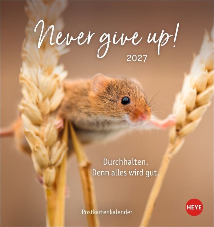 Produktbild: Never give up! Postkartenkalender 2027 - Durchhalten. Denn alles wird gut.