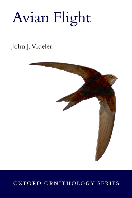 Produktbild: Avian Flight