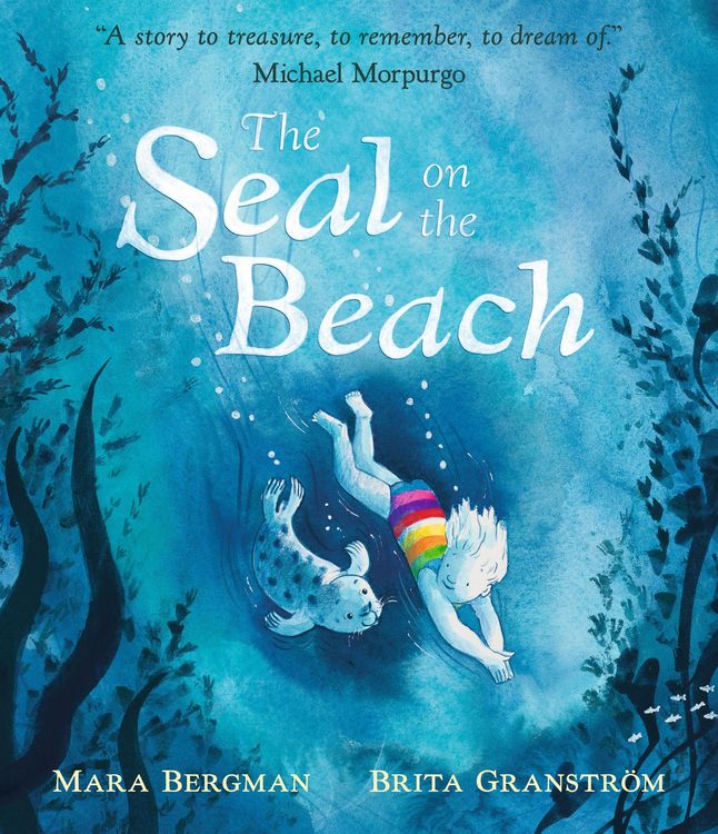 Produktbild: The Seal on the Beach