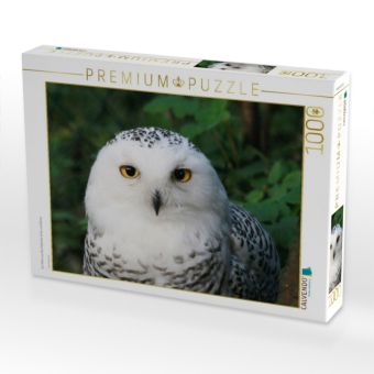 Produktbild: CALVENDO Puzzle Ein Motiv aus dem Kalender Eulen und K&auml;uze | 1000 Teile Lege-Gr&ouml;&szlig;e 64x48cm Foto-Puzzle f&uuml;r gl&uuml;ckliche Stunden