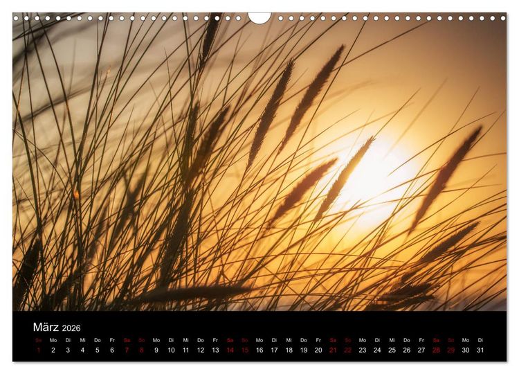 Produktbild: Wundersame Natur in Deutschland (Wandkalender 2026 DIN A3 quer), CALVENDO Monatskalender