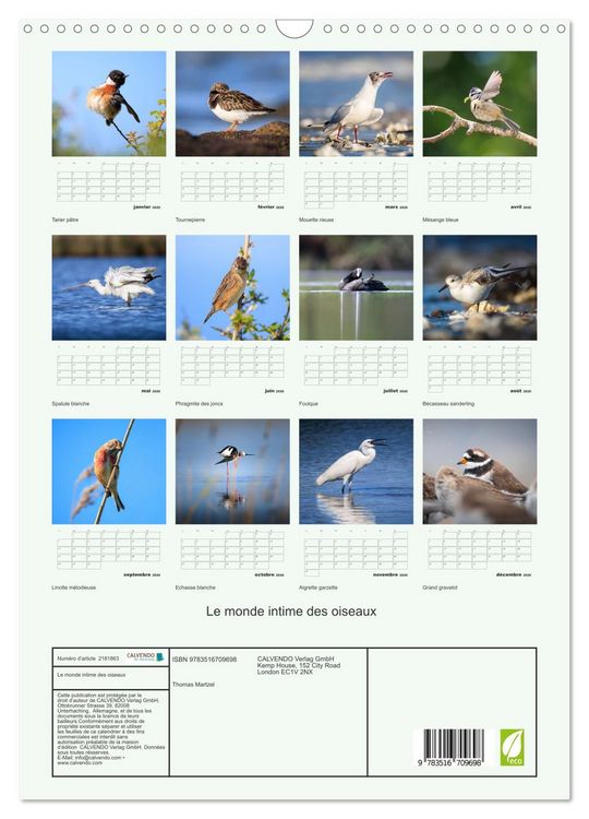 Produktbild: Le monde intime des oiseaux (Calendrier mural 2026 DIN A3 horizontal), CALVENDO calendrier mensuel