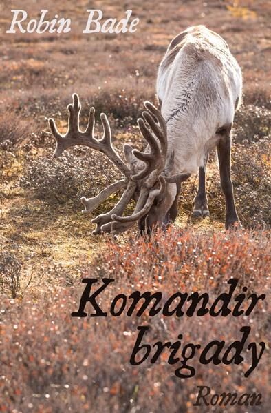 Produktbild: Komandir brigady