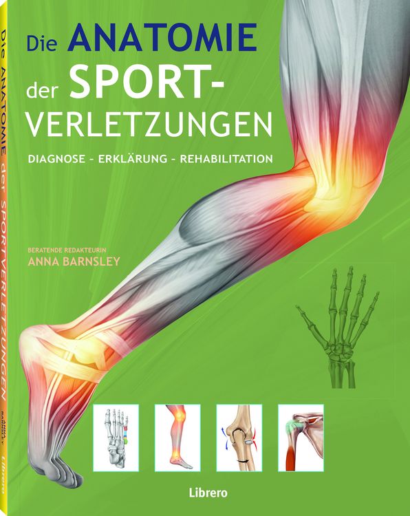 Produktbild: Die Anatomie der Sportverletzungen