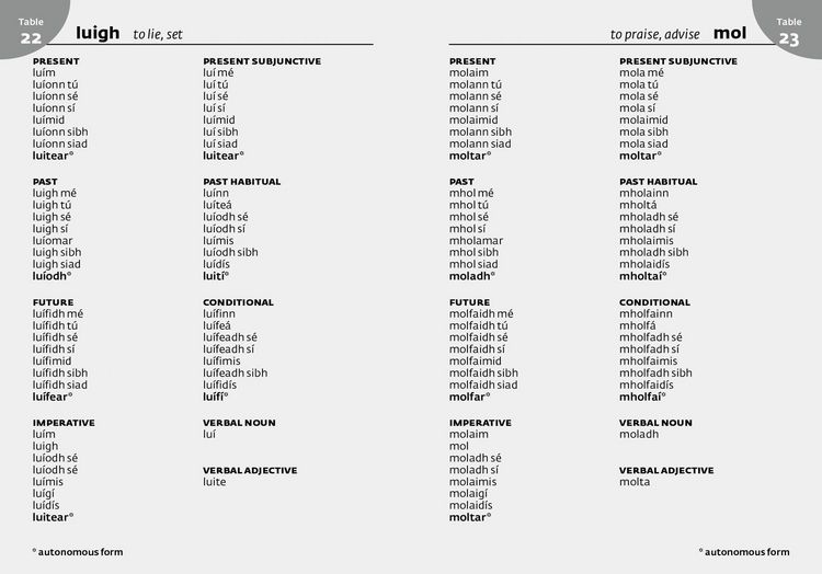 Produktbild: Irish School Dictionary