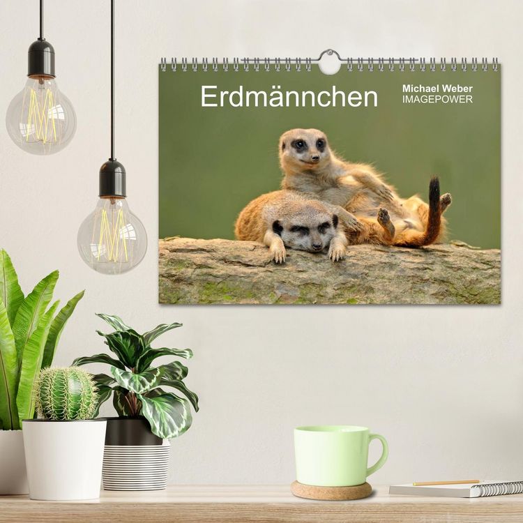 Produktbild: Erdm&auml;nnchen - Tierkinder (Wandkalender 2026 DIN A4 quer), CALVENDO Monatskalender