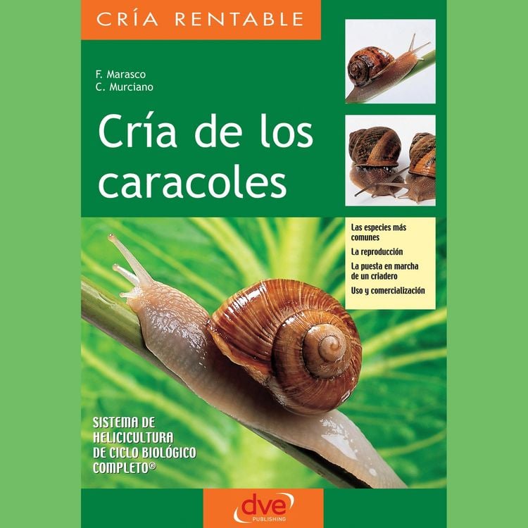 Produktbild: Cr&iacute;a de los caracoles. Las especies m&aacute;s comunes, la reproducci&oacute;n, la puesta en marcha de un criadero, uso y comercializaci&oacute;n