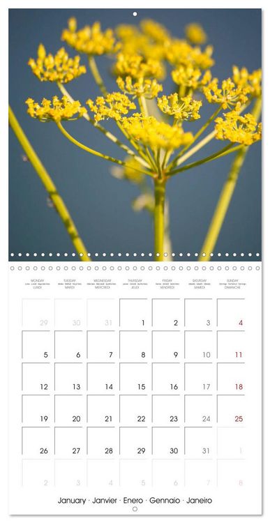 Produktbild: Herbal Haven. Enchanting Healing Plants (Wall Calendar 2026 12 &times; 12 Inch) CALVENDO 12 Month Wall Calendar