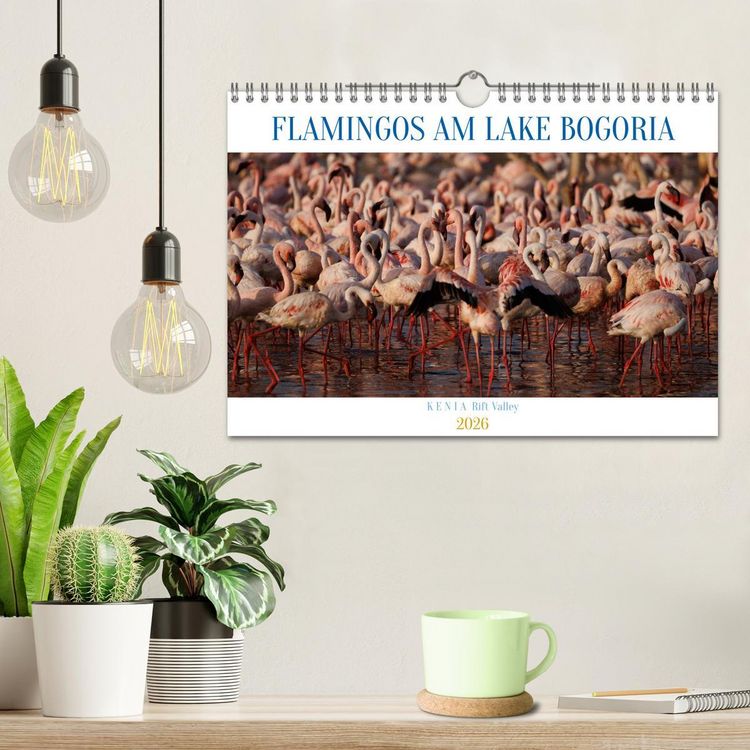 Produktbild: Flamingos am Lake Bogoria - Kenia (Wandkalender 2026 DIN A4 quer), CALVENDO Monatskalender