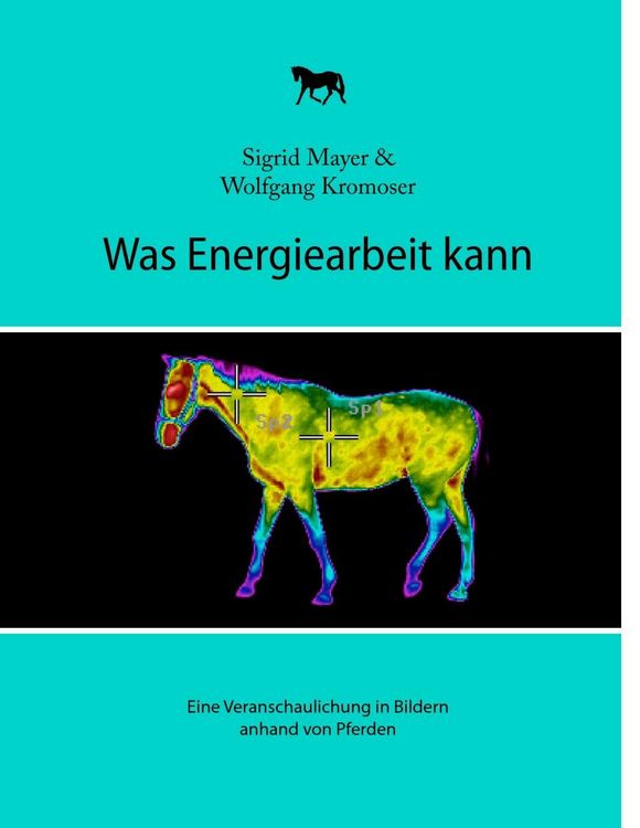 Produktbild: Was Energiearbeit kann
