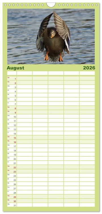Produktbild: Familienplaner 2026 - Duck Power mit 5 Spalten (Wandkalender, 21 x 45 cm) CALVENDO