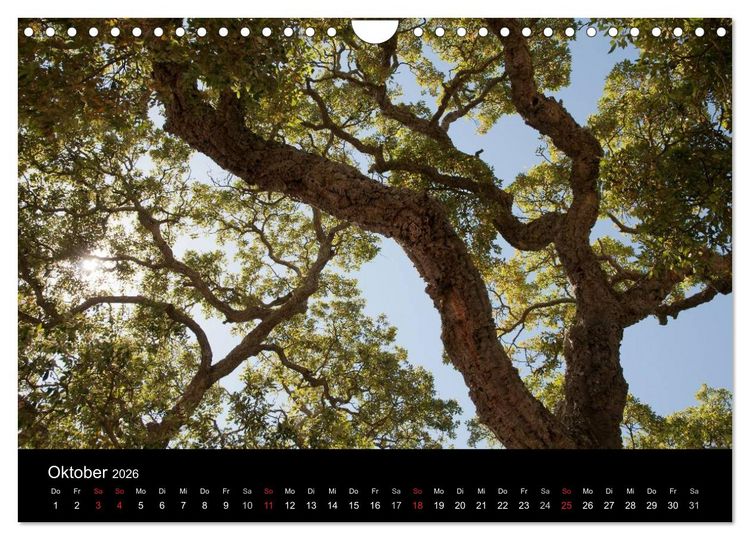 Produktbild: Sardinien Costa Smeralda und der Norden (Wandkalender 2026 DIN A4 quer), CALVENDO Monatskalender