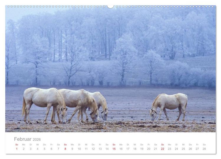 Produktbild: SCHW&Auml;BISCHE ALB W.Dieterich (hochwertiger Premium Wandkalender 2026 DIN A2 quer), Kunstdruck in Hochglanz