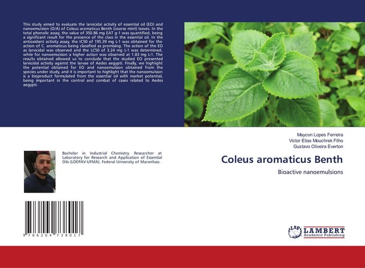 Produktbild: Coleus aromaticus Benth