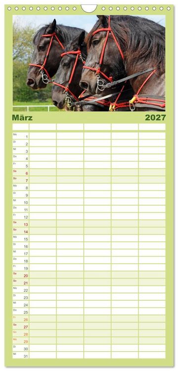 Produktbild: Familienplaner 2027 - Schwere Pferde mit 5 Spalten (Wandkalender, 21 x 45 cm) CALVENDO