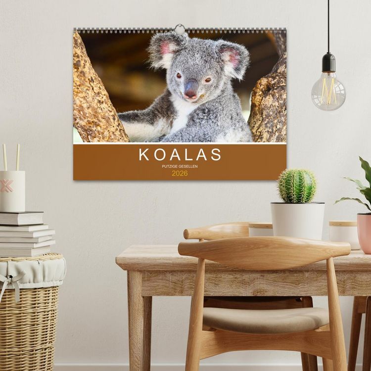 Produktbild: Koalas, putzige Gesellen (Wandkalender 2026 DIN A3 quer), CALVENDO Monatskalender