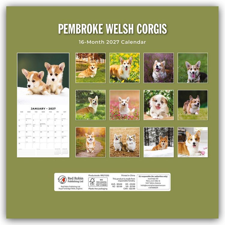 Produktbild: Pembroke Welsh Corgis &ndash; Pembroke Welsh Corgi 2027 &ndash; 16-Monatskalender