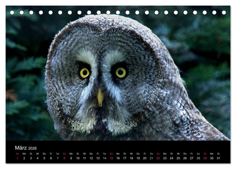 Produktbild: Greifv&ouml;gel (Tischkalender 2026 DIN A5 quer), CALVENDO Monatskalender