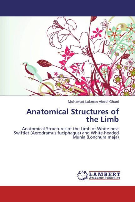 Produktbild: Abdul Ghani, M: Anatomical Structures of the Limb