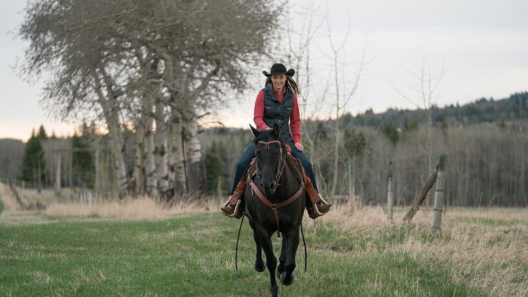 Produktbild: Heartland - Paradies f&uuml;r Pferde, Staffel 11 (Neuauflage) [6 DVDs]