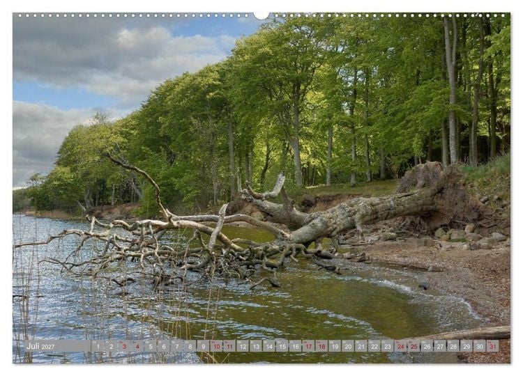 Produktbild: Am sch&ouml;nsten Uferabschnitt der Schlei (hochwertiger Premium Wandkalender 2027 DIN A2 quer), Kunstdruck in Hochglanz
