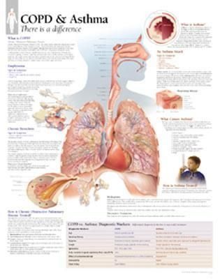 Produktbild: Copd/asthma Chart