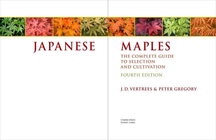 Produktbild: Japanese Maples