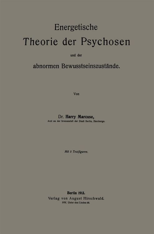 Produktbild: Energetische Theorie der Psychosen und der abnormen Bewusstseinszust&auml;nde