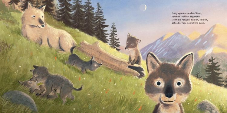 Produktbild: Im Wald der W&ouml;lfchen