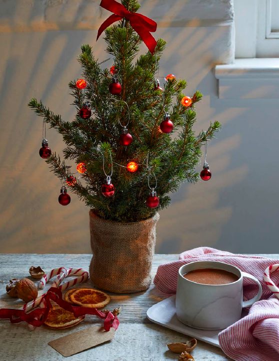 Produktbild: Easy Vegan Christmas