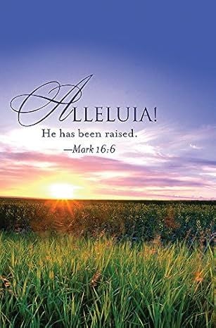 Produktbild: Alleluia! Easter Sunrise Bulletin 2013, Regular (Package of 50)