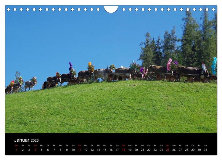 Produktbild: Almabtrieb in Tirol (Wandkalender 2026 DIN A4 quer), CALVENDO Monatskalender