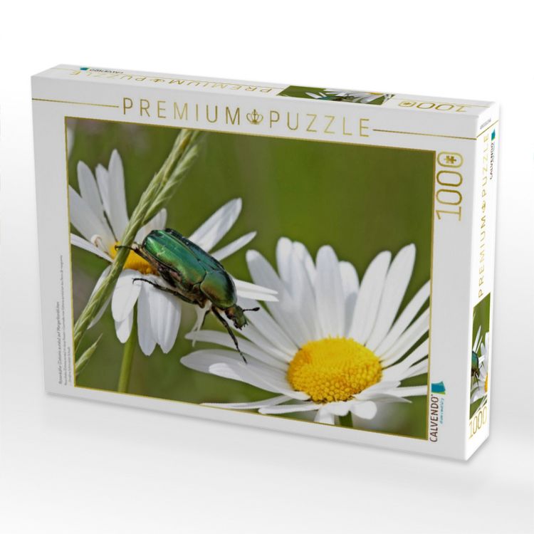 Produktbild: CALVENDO Puzzle Rosenk&auml;fer (Cetonia aurata) auf Margeritenbl&uuml;ten | 1000 Teile Lege-Gr&ouml;&szlig;e 64x48cm Foto-Puzzle f&uuml;r gl&uuml;ckliche Stunden